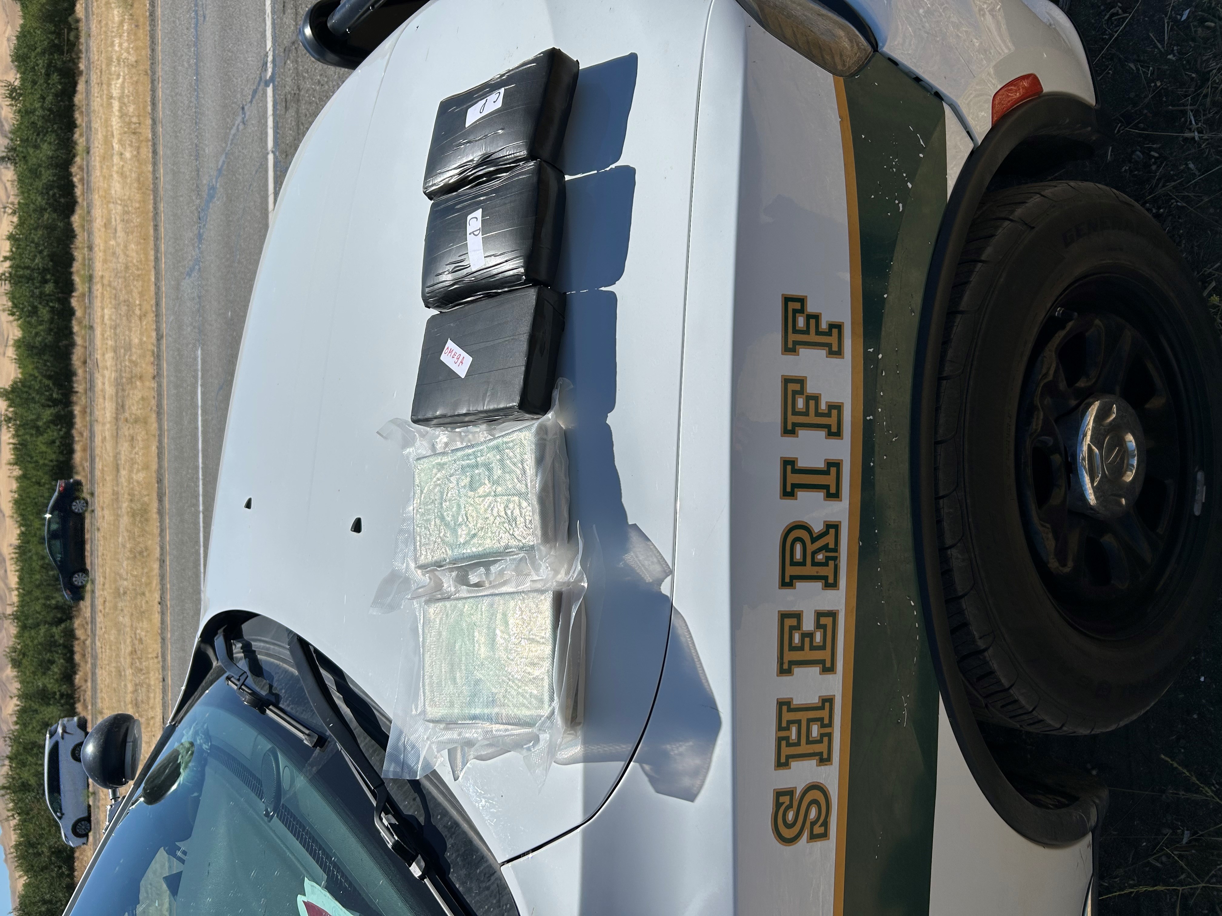 Seized Cocaine