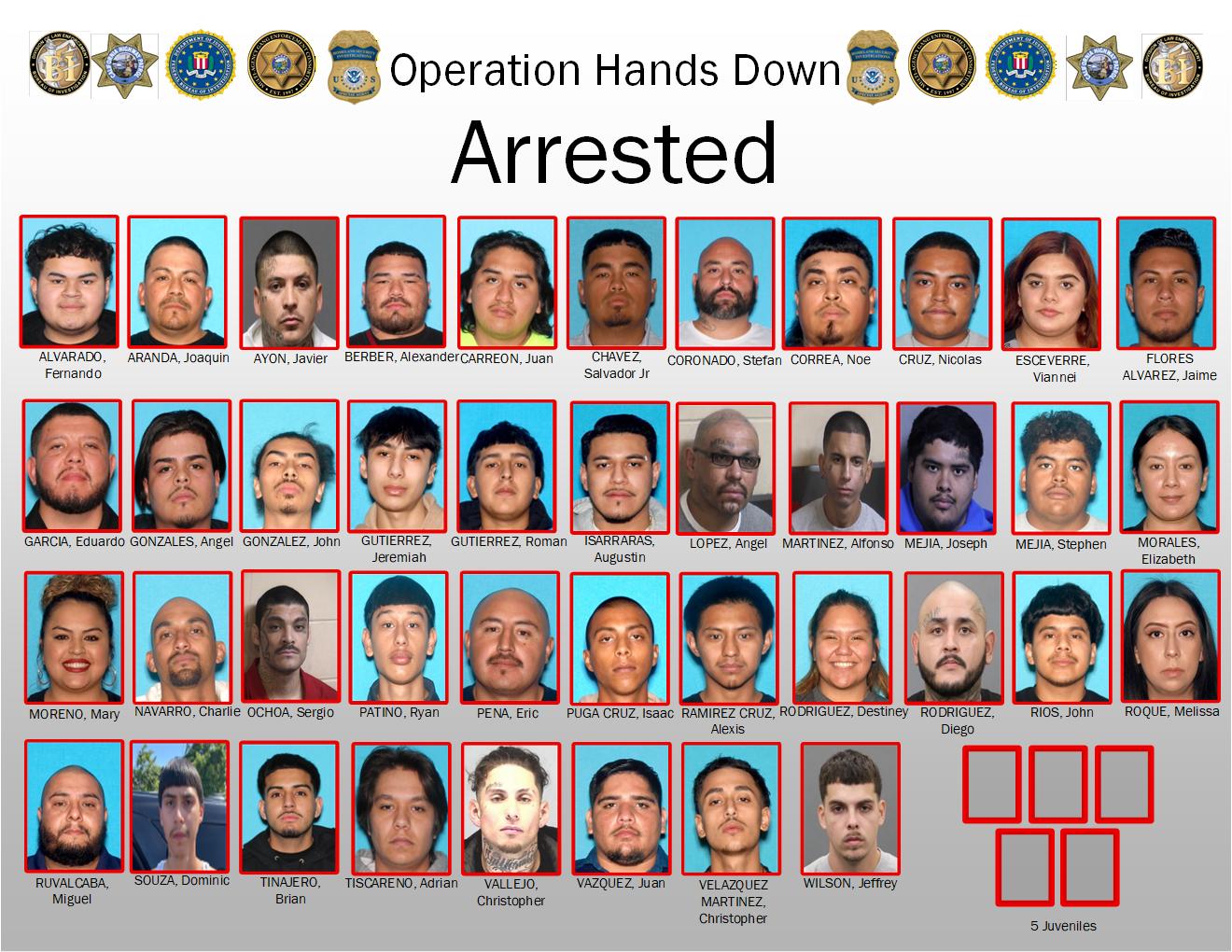 Suspects Arrested in Operation Hands Down